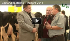 Sectorul zootehnic - Indagra 2011