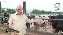 Am aflat la ce nivel de producție a ajuns o fermă de vaci Holstein din Ungaria